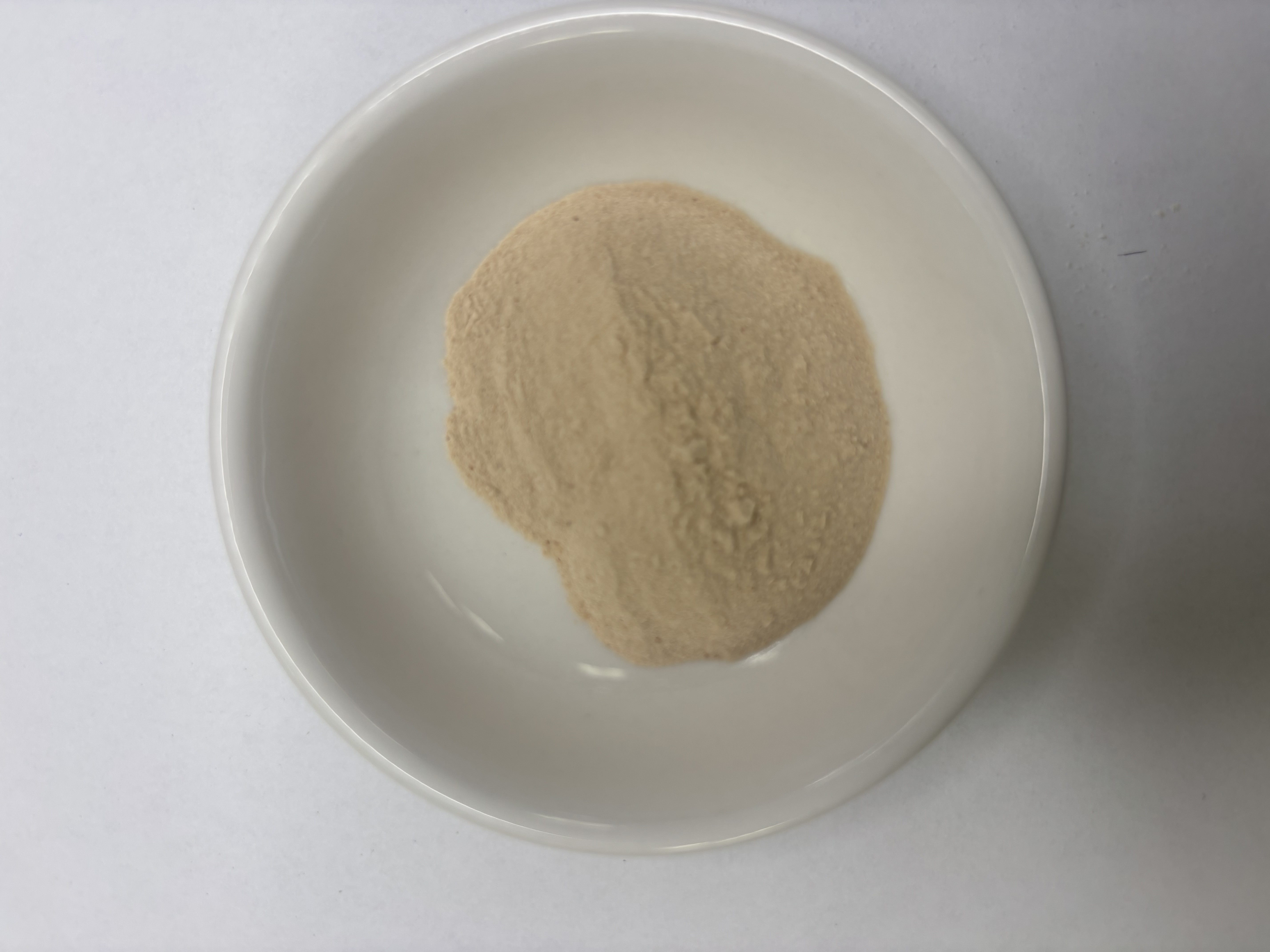 organic nutraceutical ingredient Organic Lucuma Powder bulk supply organic nutraceutical ingredient Organic Lucuma Powder bulk supply