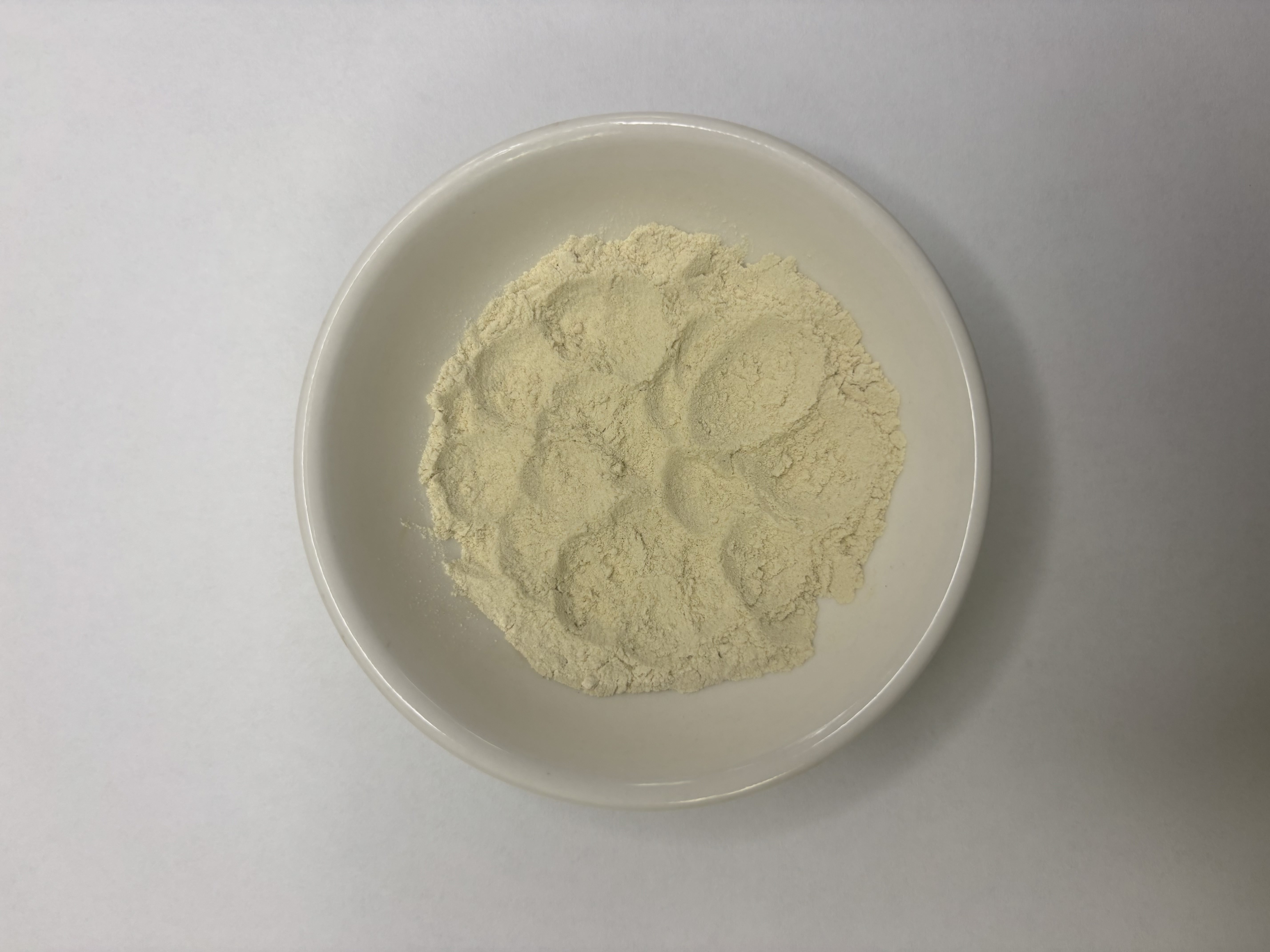 organic bulk supplier Organic Cabbage Powder wholesale trade stock organic bulk supplier Organic Cabbage Powder wholesale trade stock