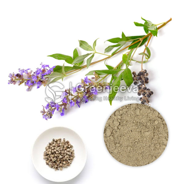 Chaste Tree Berry Extract Powder 10:1