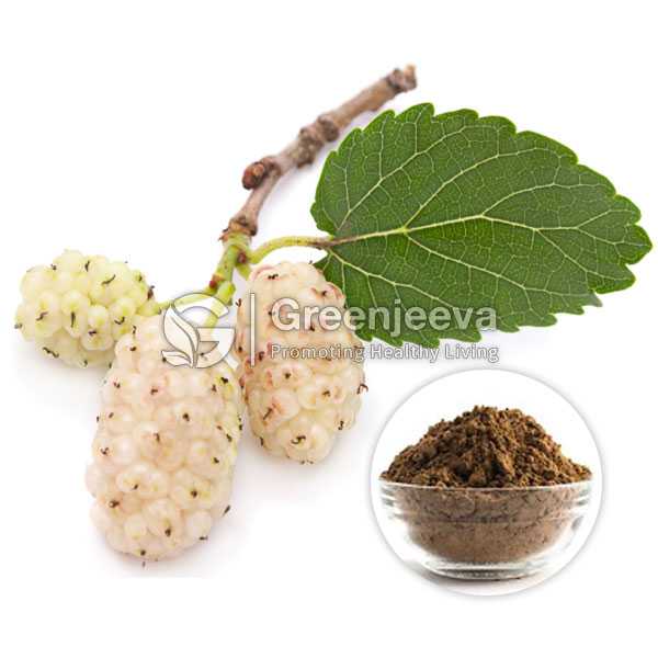 White Mulberry Leaf Extract Powder 1% Deoxynojirimycin, HPLC