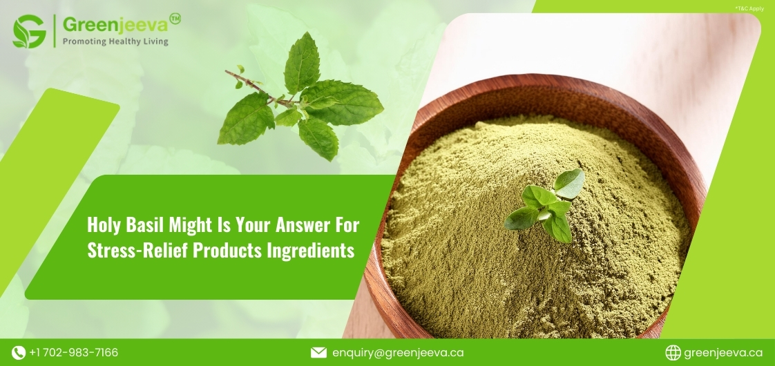 Stress-Relief Product - Holy Basil Extract Powder is the Right Ingredient