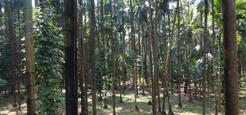 Guhagar, Maharashtra