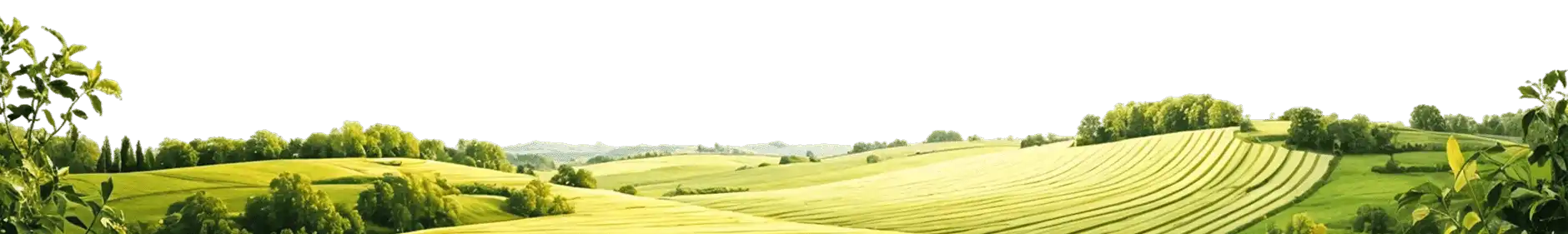 GreenJeeva Organic Farm