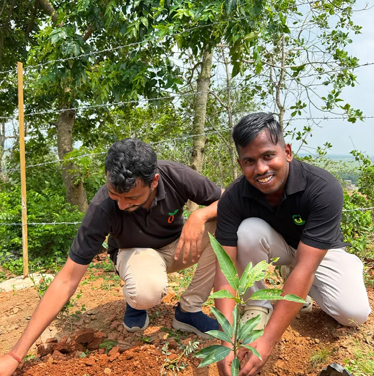Think Organic Think Greenjeeva