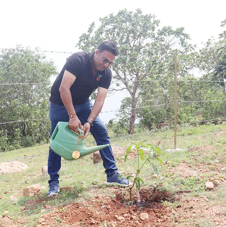 Think Organic Think Greenjeeva