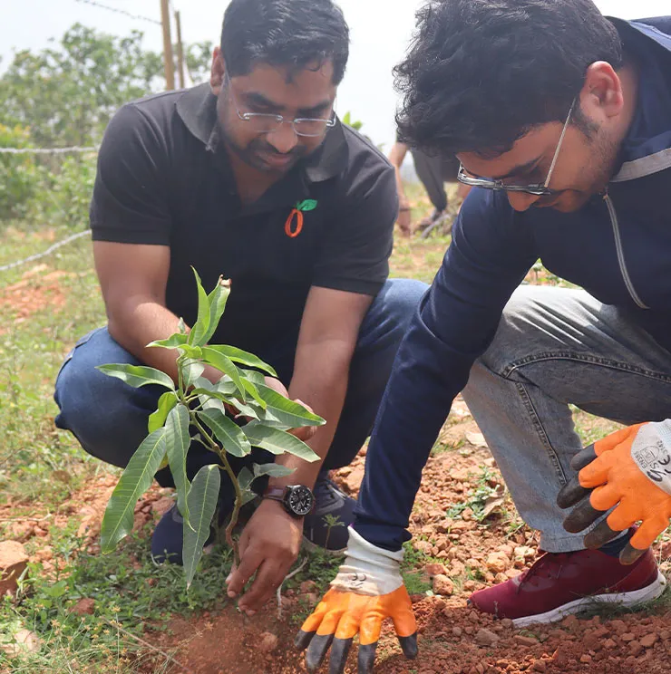 Think Organic Think Greenjeeva