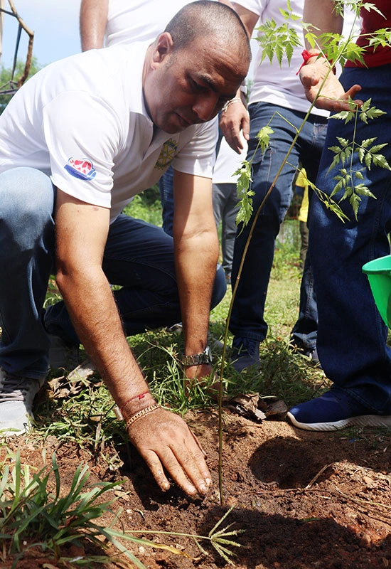 Think Organic Think Greenjeeva