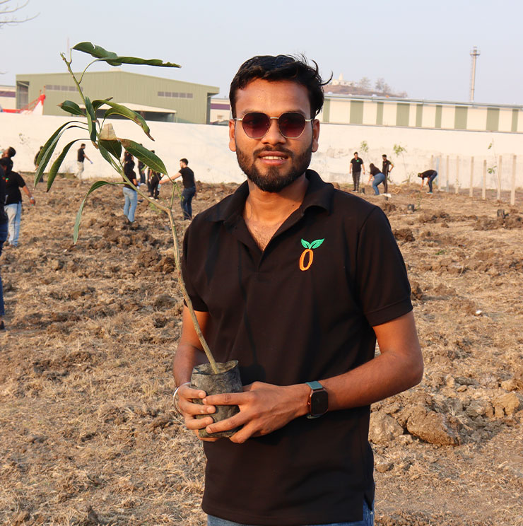 Desert Reforestation