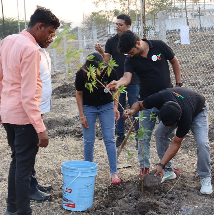 Biodiversity Recovery