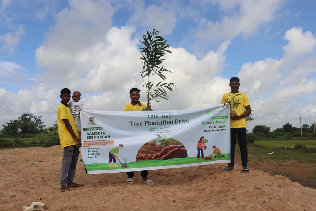 Plantation- Keonjhar