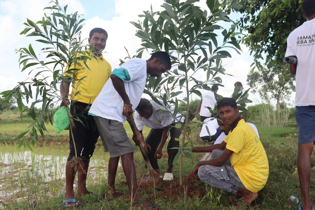 Plantation- Keonjhar