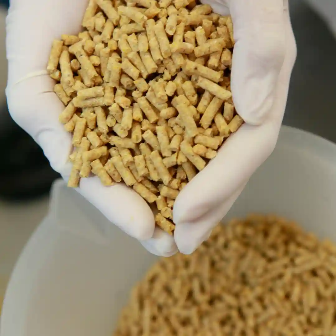Animal Nutrition