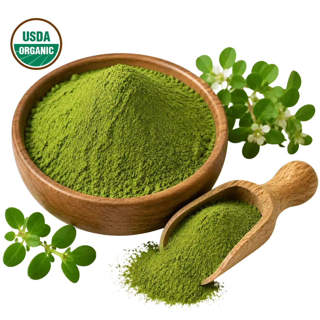 Jeeva Organic Bacopa Leaf Powder Product