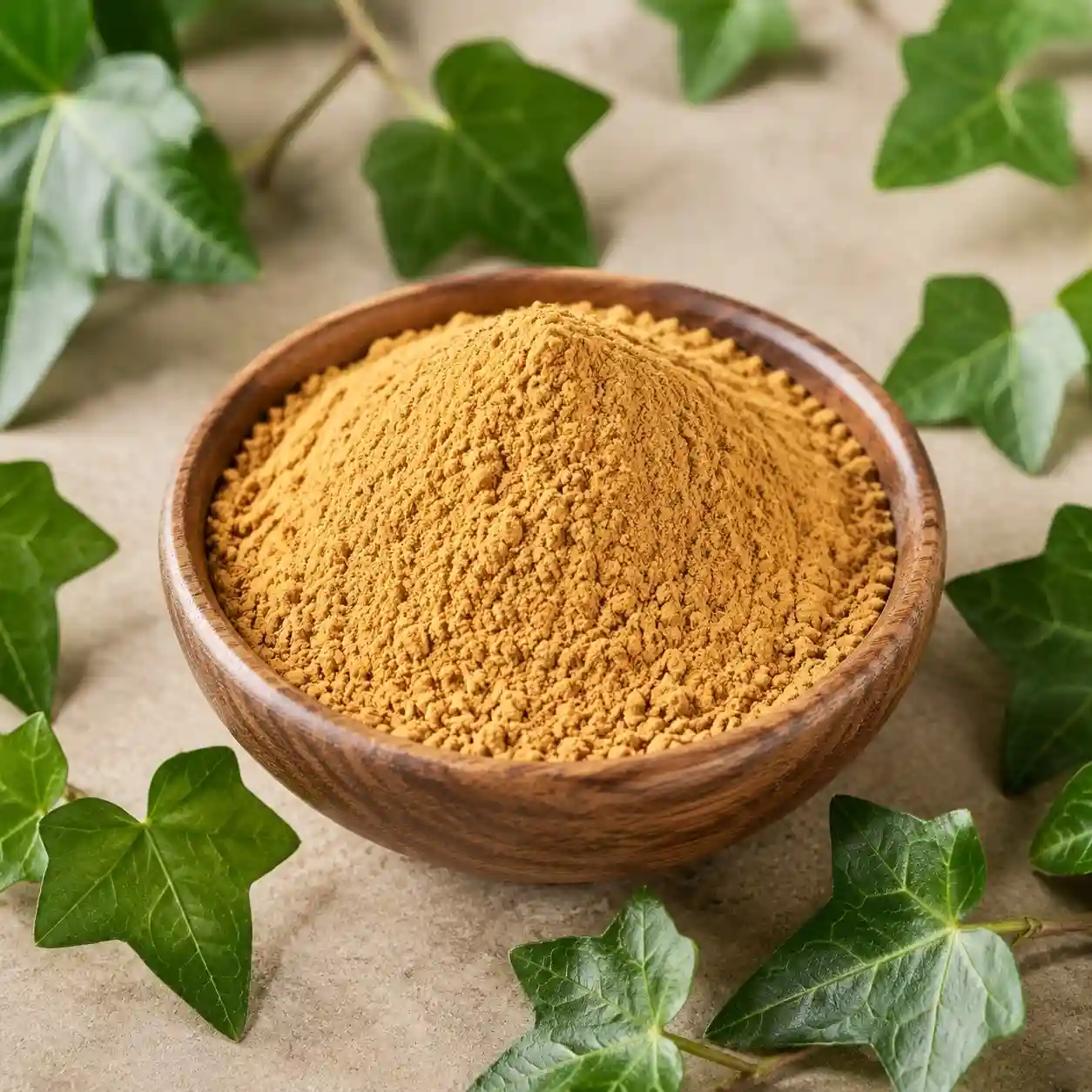 Organic Ivy Leaf Extract Powder 10:1