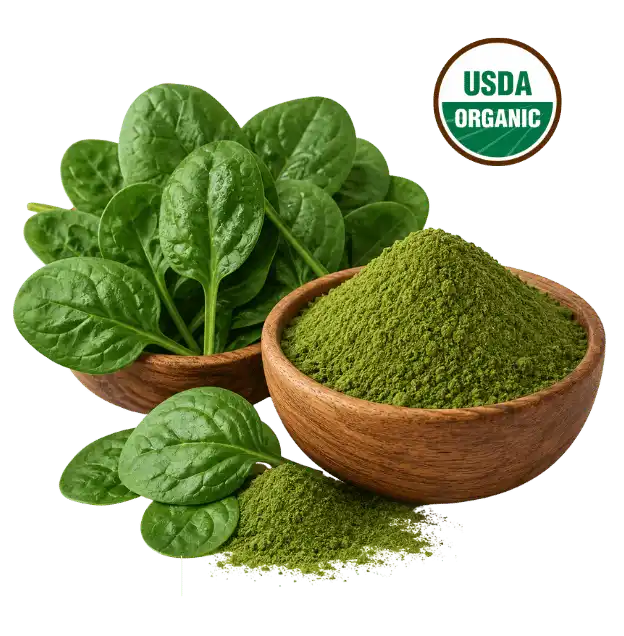 Jeeva Organic Spinach Powder Product