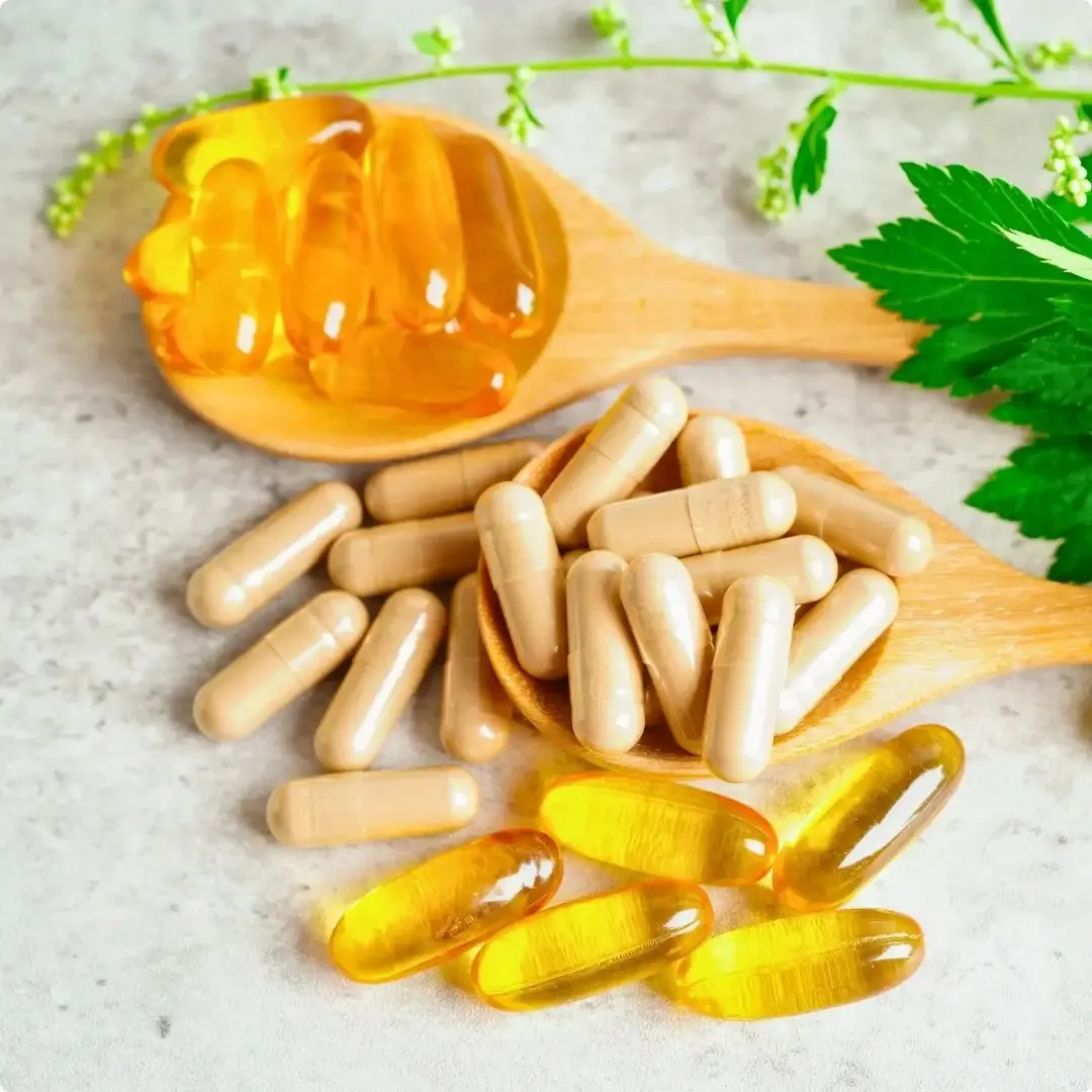 Amla fruit powder used in nutraceutical and dietary supplement manufacturing