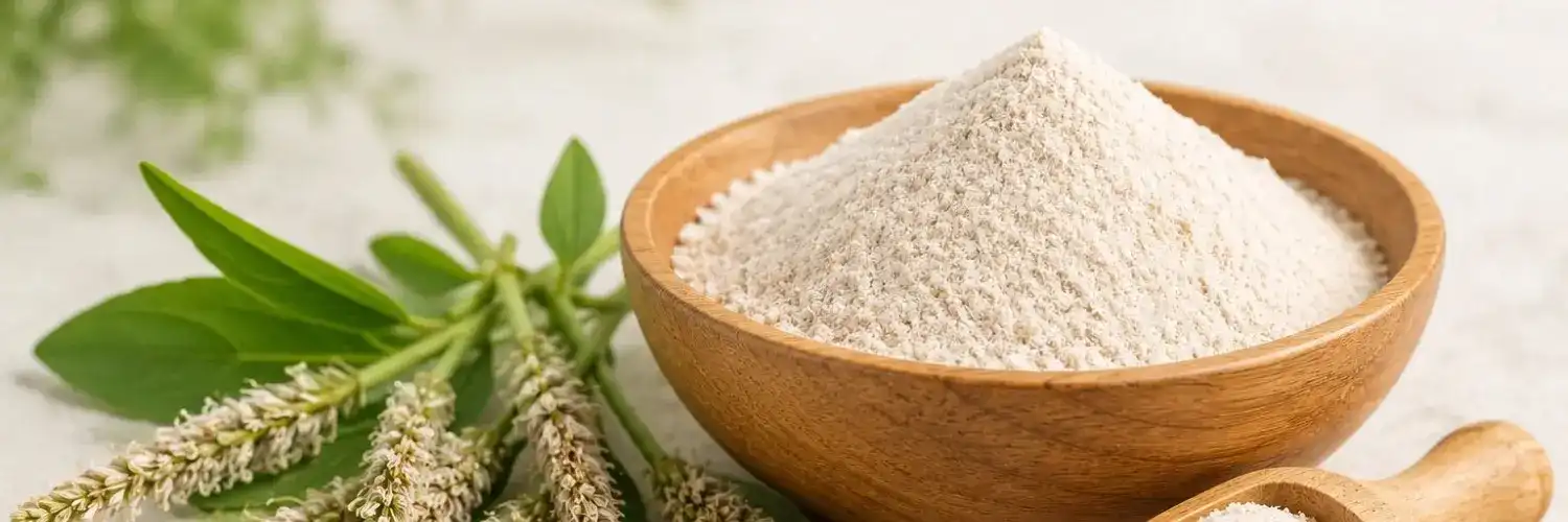 Organic Psyllium Husk Powder 99%