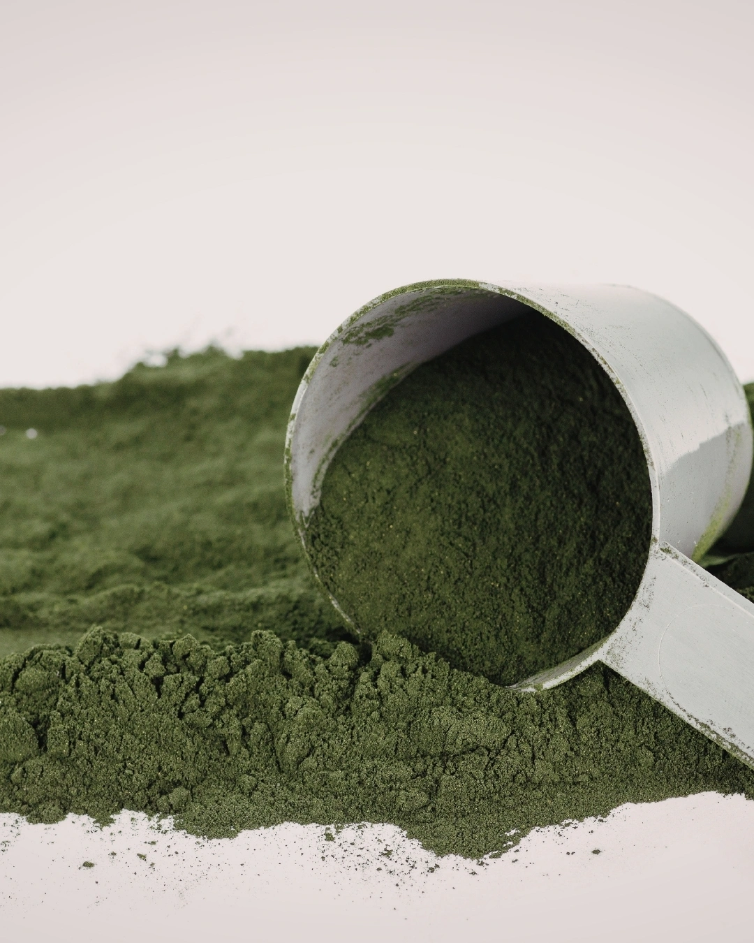Bulk organic kelp powder scoop for commercial ingredient supply