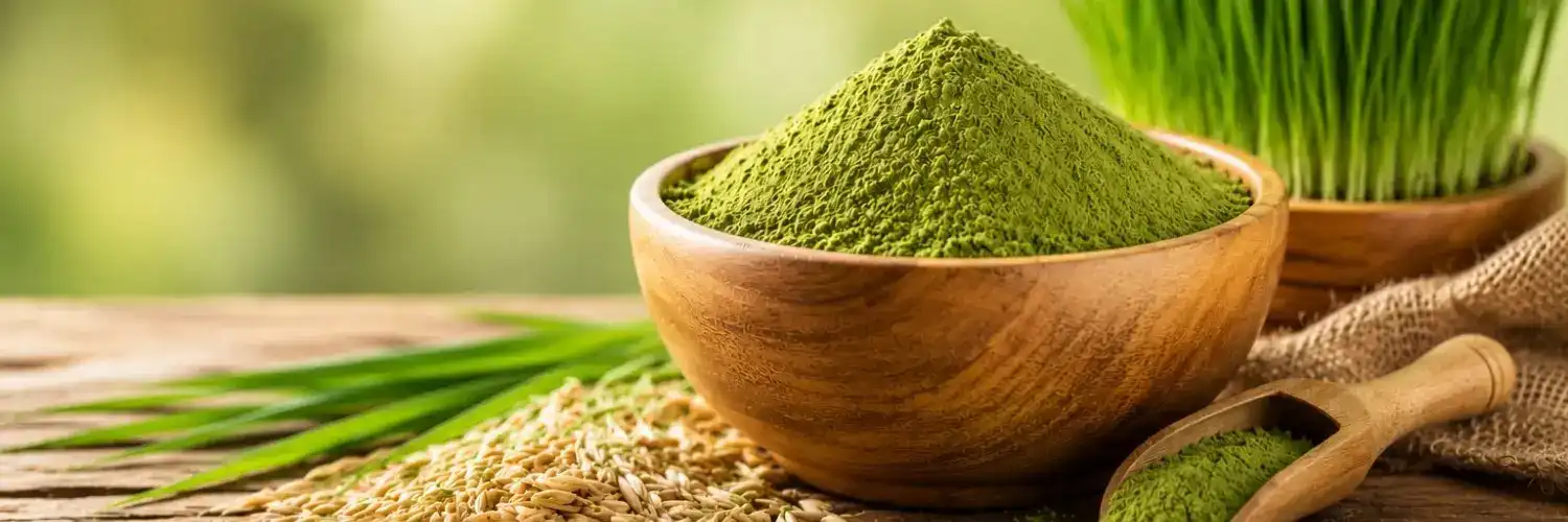Organic Oat Grass Powder