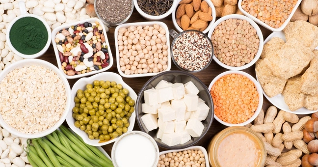 Organic Quinoa Seed Powder complete plant-based protein essential amino acids bulk B2B supplier