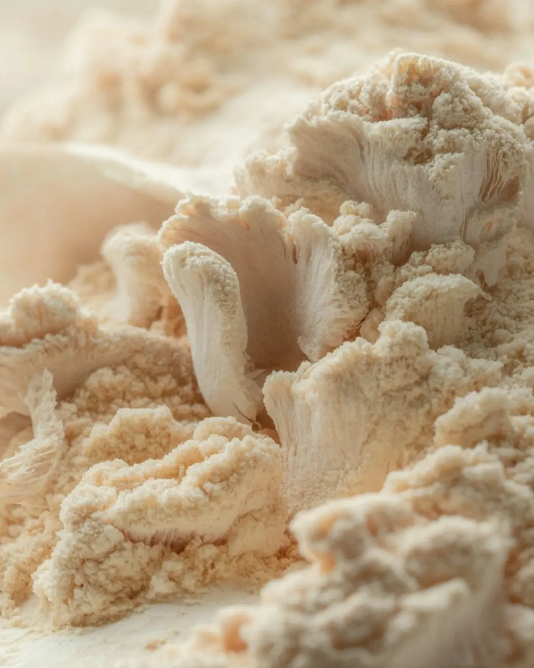 Organic Lion's Mane Extract Powder 10:1 for Dietary Fiber