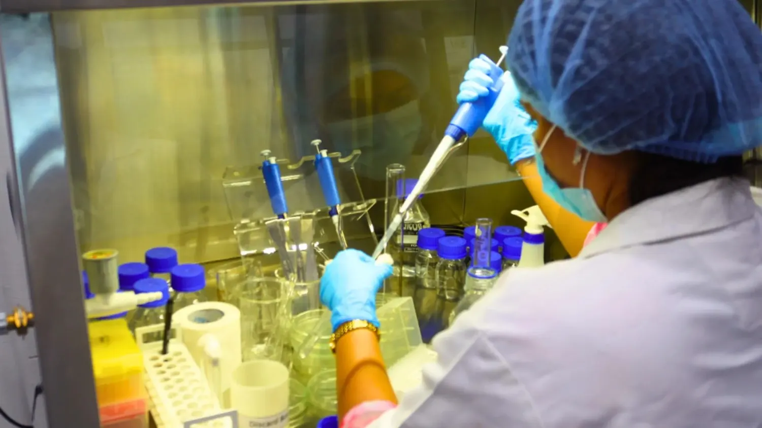 Laboratory testing of organic baheda fruit powder