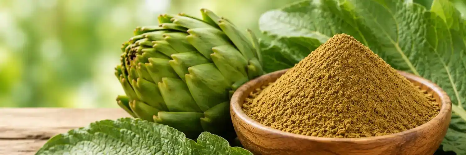 Organic Artichoke Leaf Extract Powder 4:1