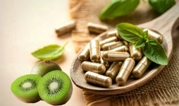 Organic kiwi fruit powder used in nutraceutical and dietary supplement formulations