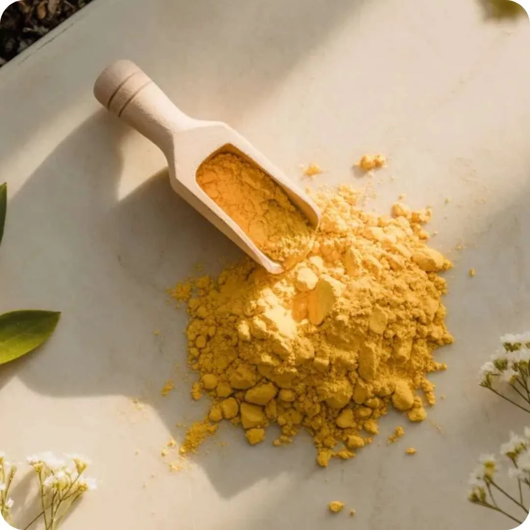 Q10 Coenzyme Powder
