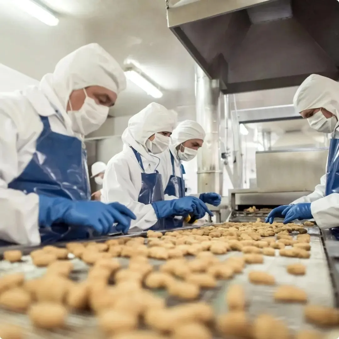 Amla fruit powder used in food manufacturing and clean-label product development