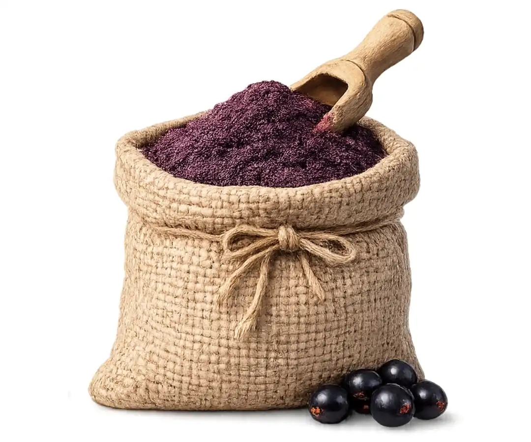 Elderberry powder
