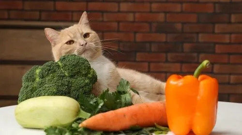 Animal nutrition manufacturing