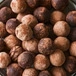 Coconut milk powder for confectionery and snacks formulation in B2B markets