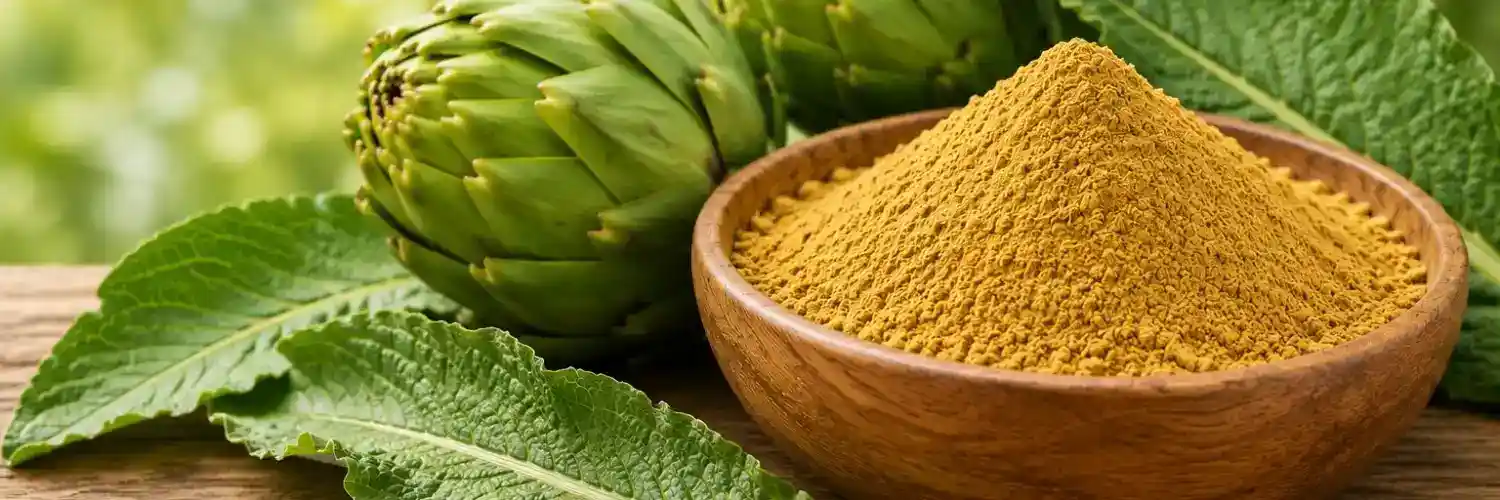 Artichoke Leaf Extract Powder