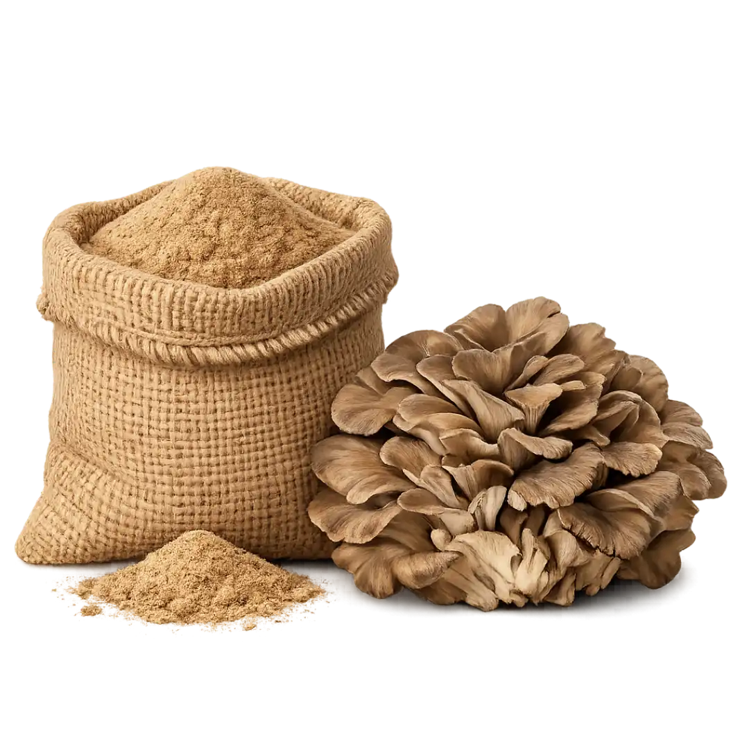Maitake Mushroom