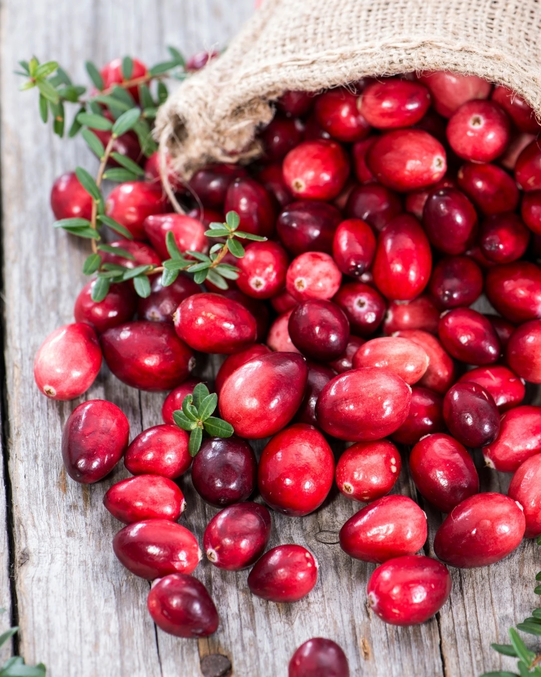 Organic Cranberry Fruit