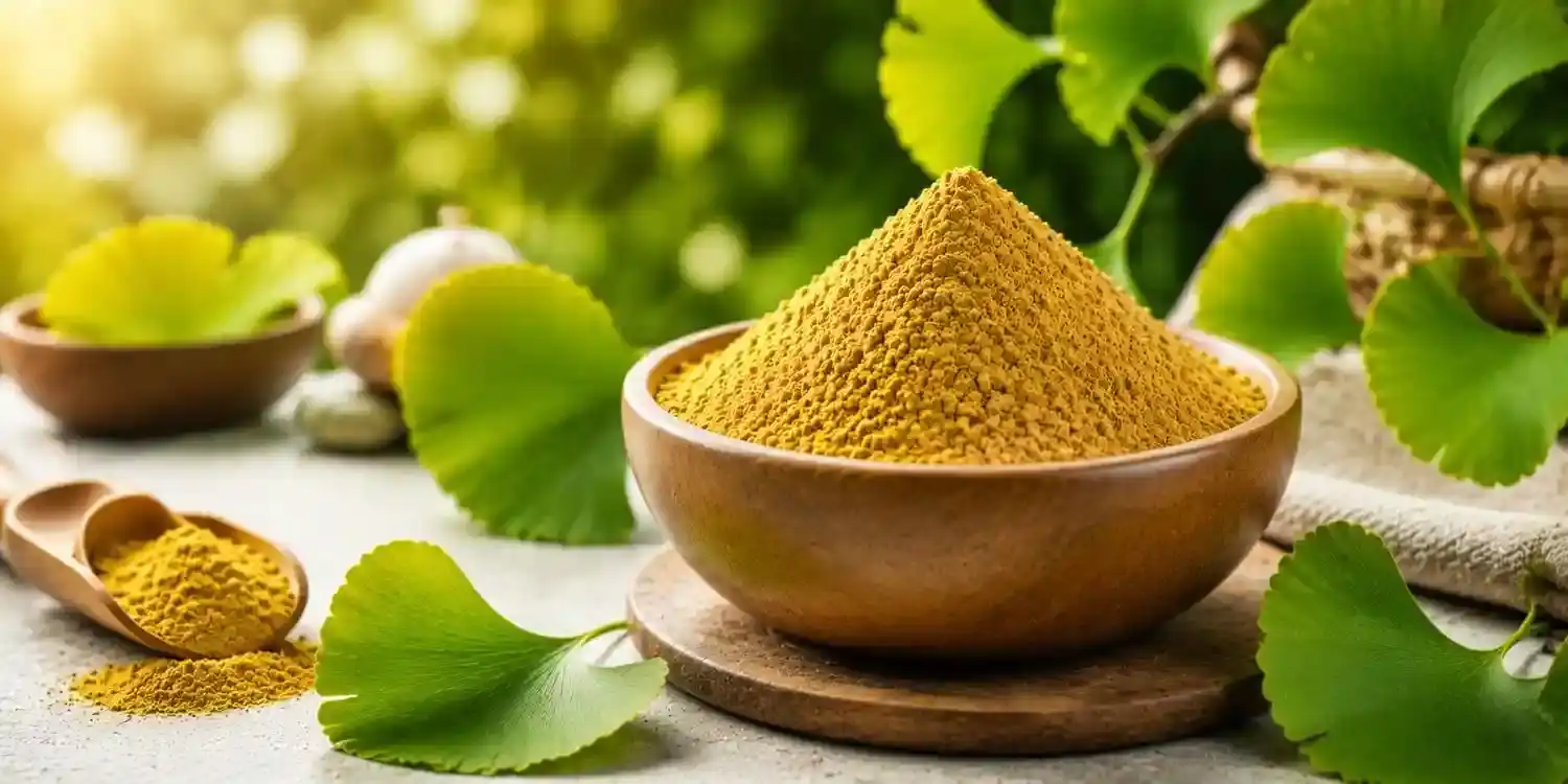 Organic Ginkgo Biloba Leaves Extract Powder