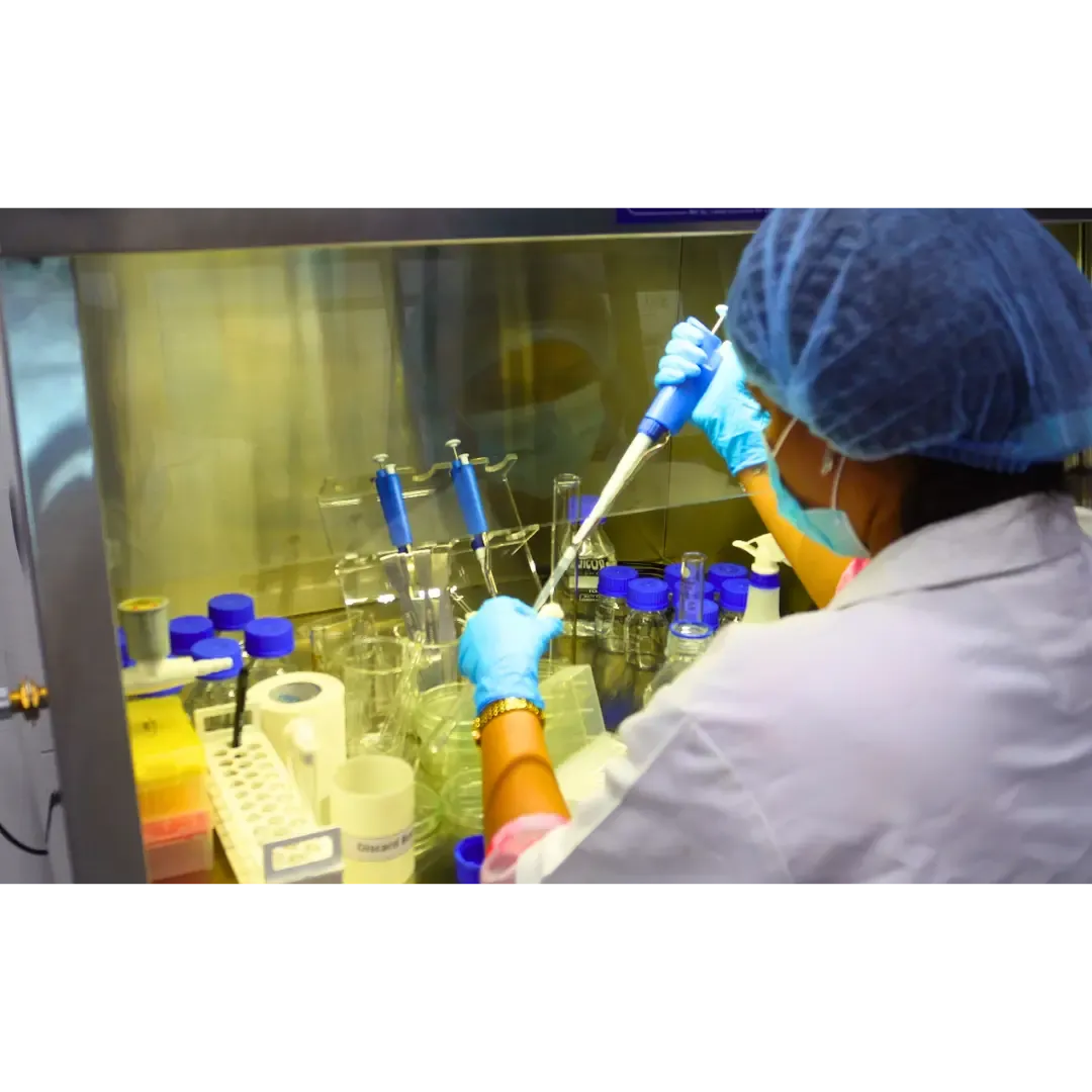 Lab