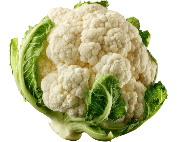 Cauliflower Plant