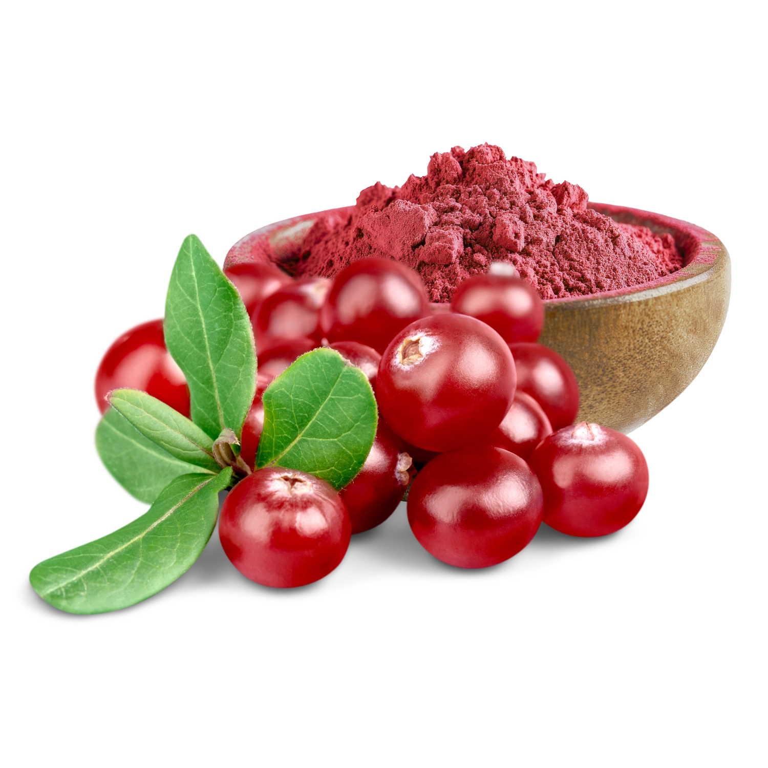 Cranberry Fruit and Organic Cranberry Juice Powder 