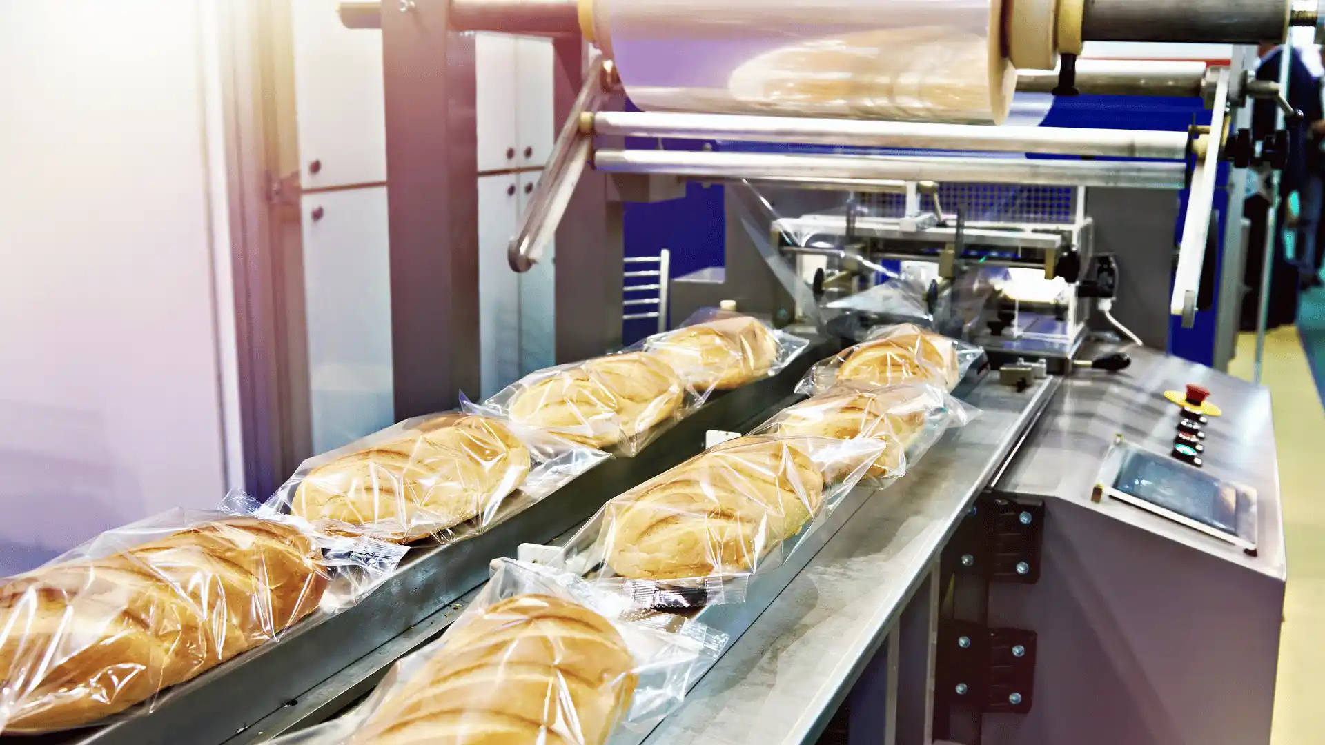 Functional Food Manufacturing