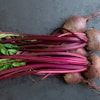 Beet Root Juice Powder B2B Supply for Natural Color Applications in Food Manufacturing