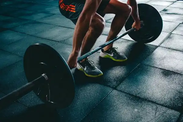 Sports Nutrition