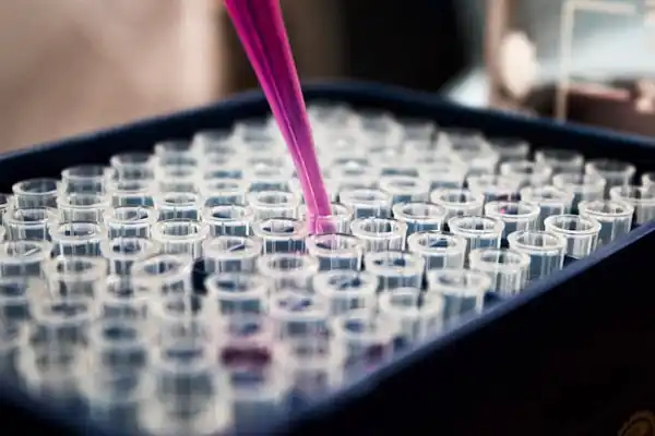 R&D Formulations