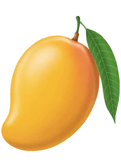 Organic Mango Powder