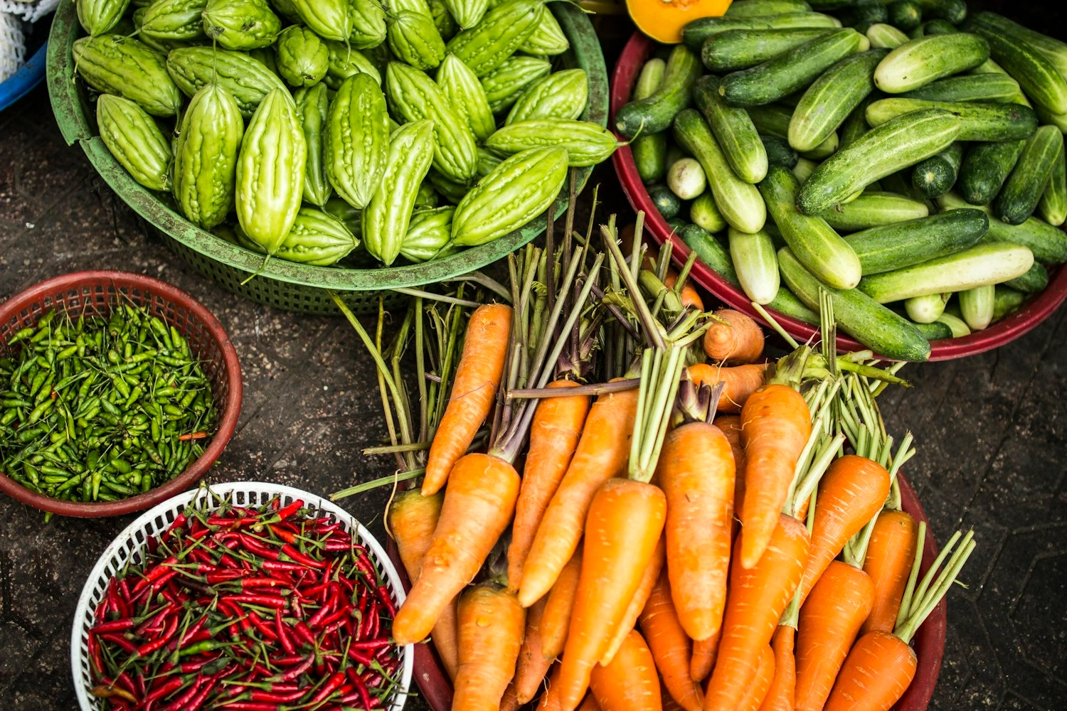 Organic Carrot Farm