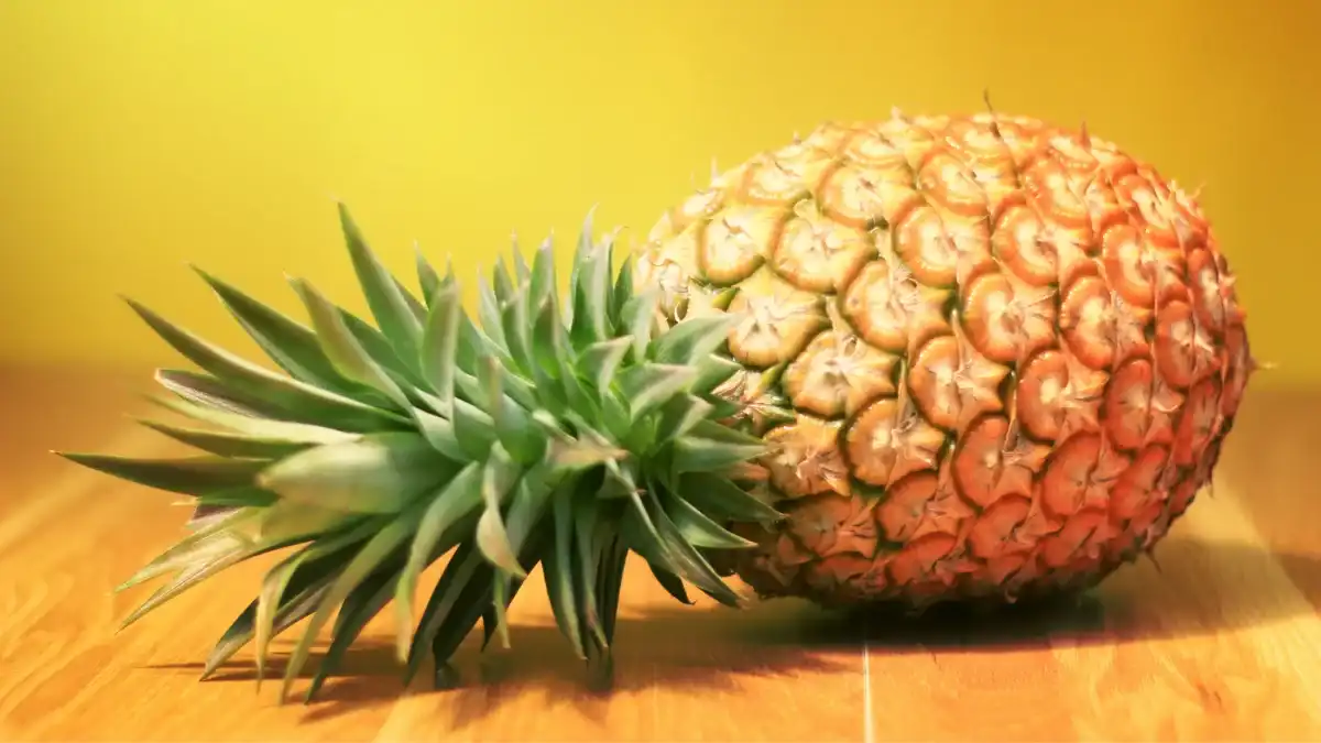 Organic Pineapple and Powder
