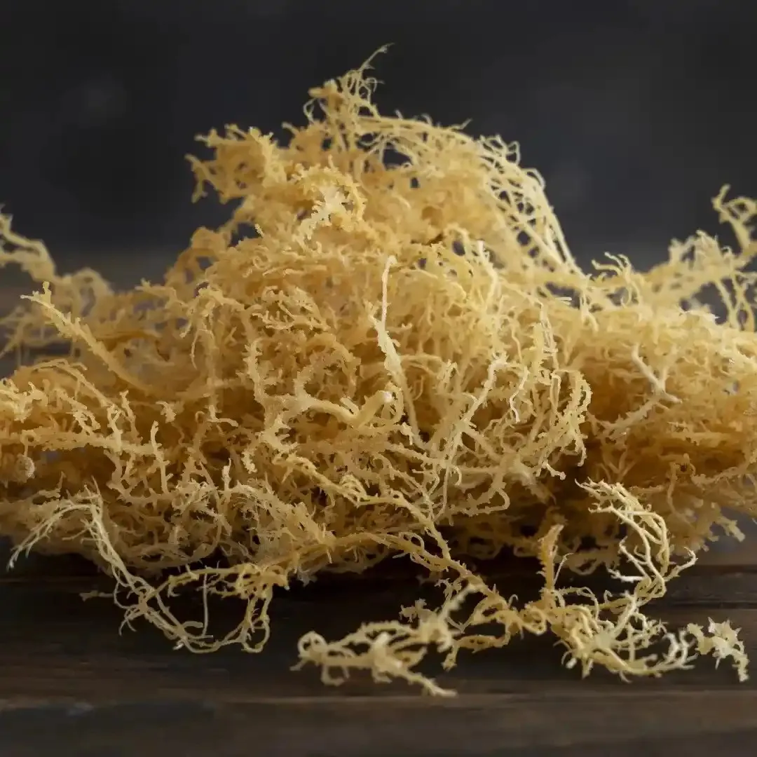 Irish Moss Powder for Herbal