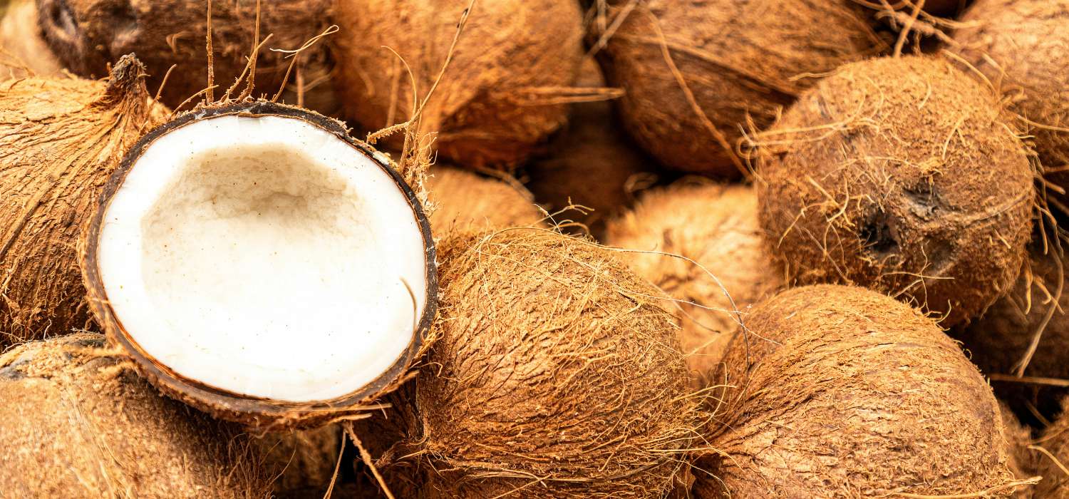 Organic coconut milk powder in bowl