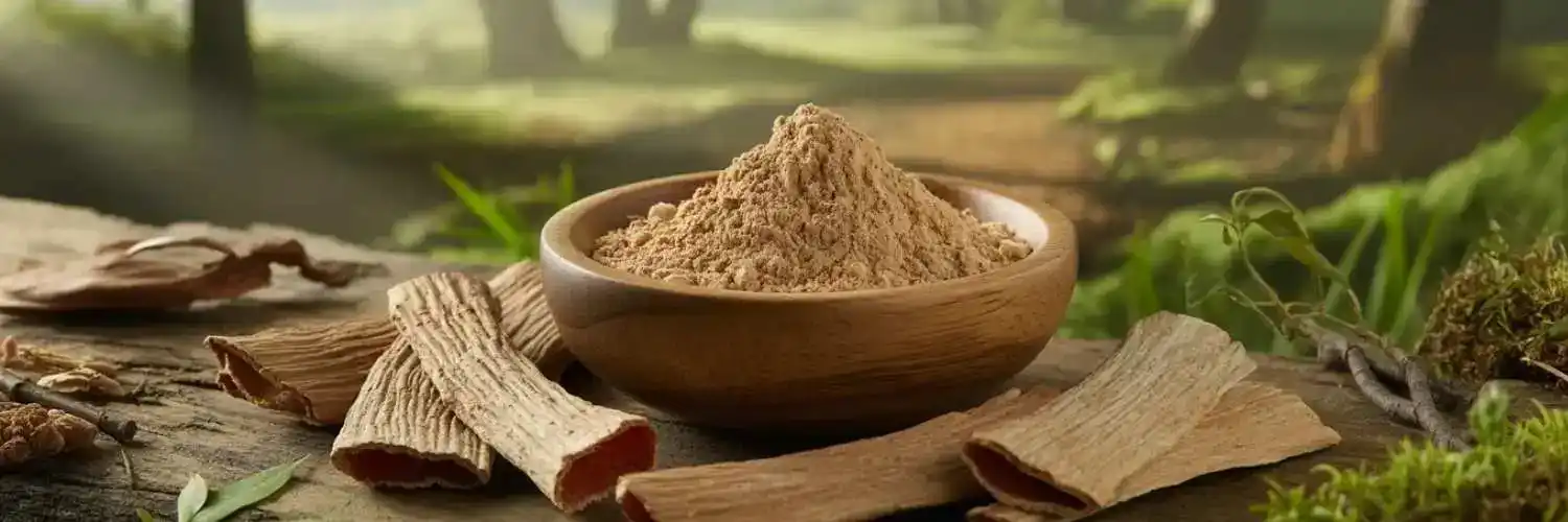 Organic Slippery Elm Bark Powder